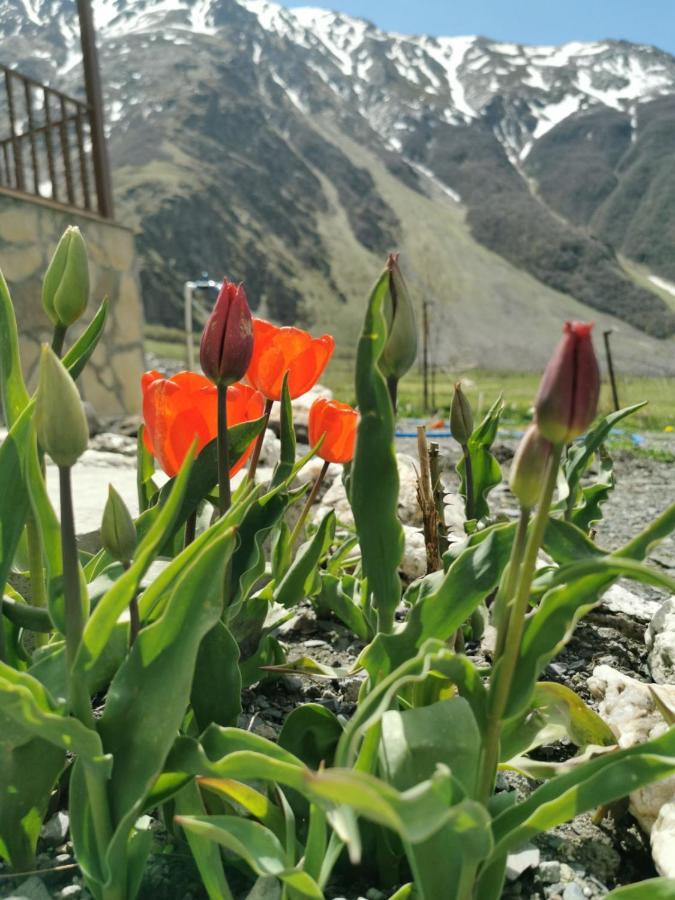 Hotel Diamond Kazbegi Exterior photo